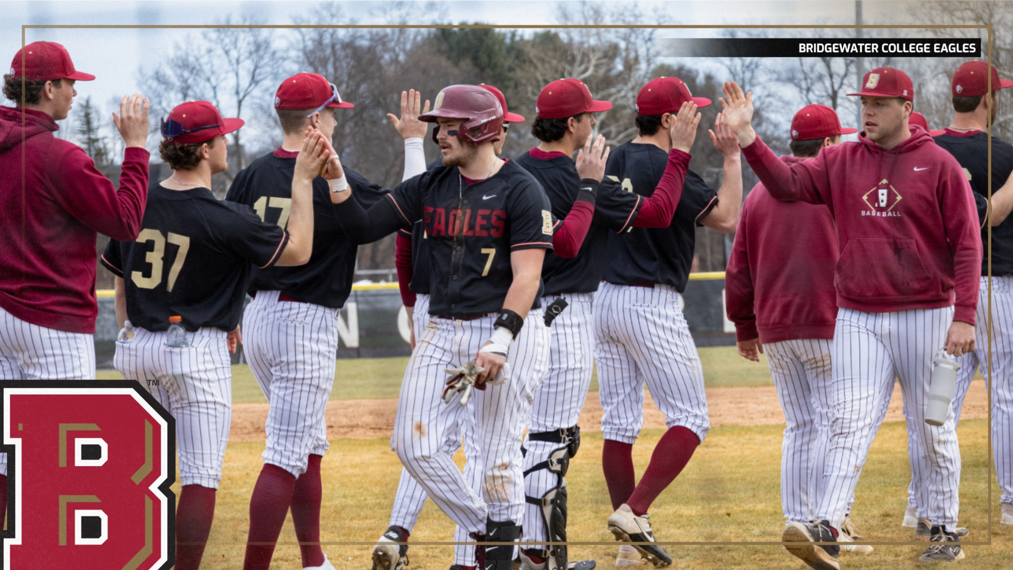 BSB No. 18 D3base poll release