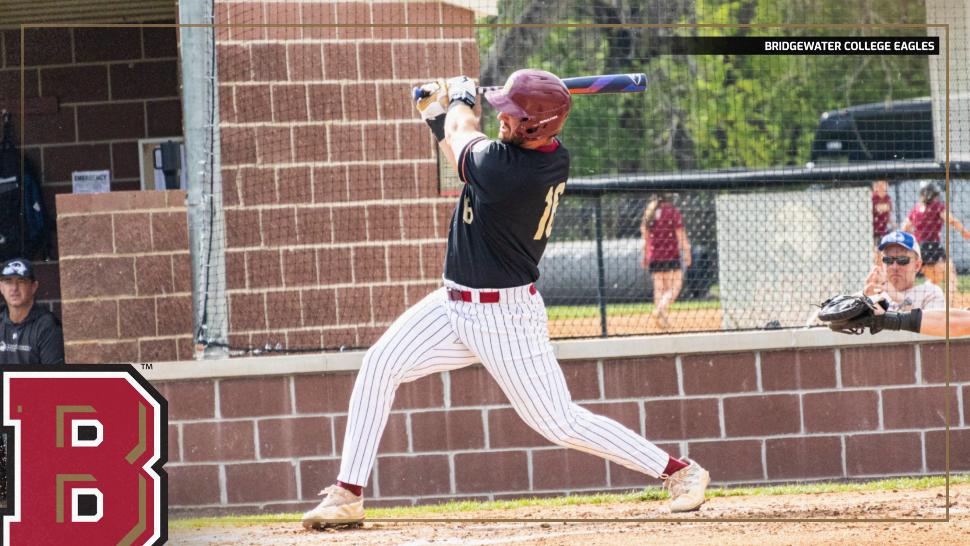 BASE Seeding release