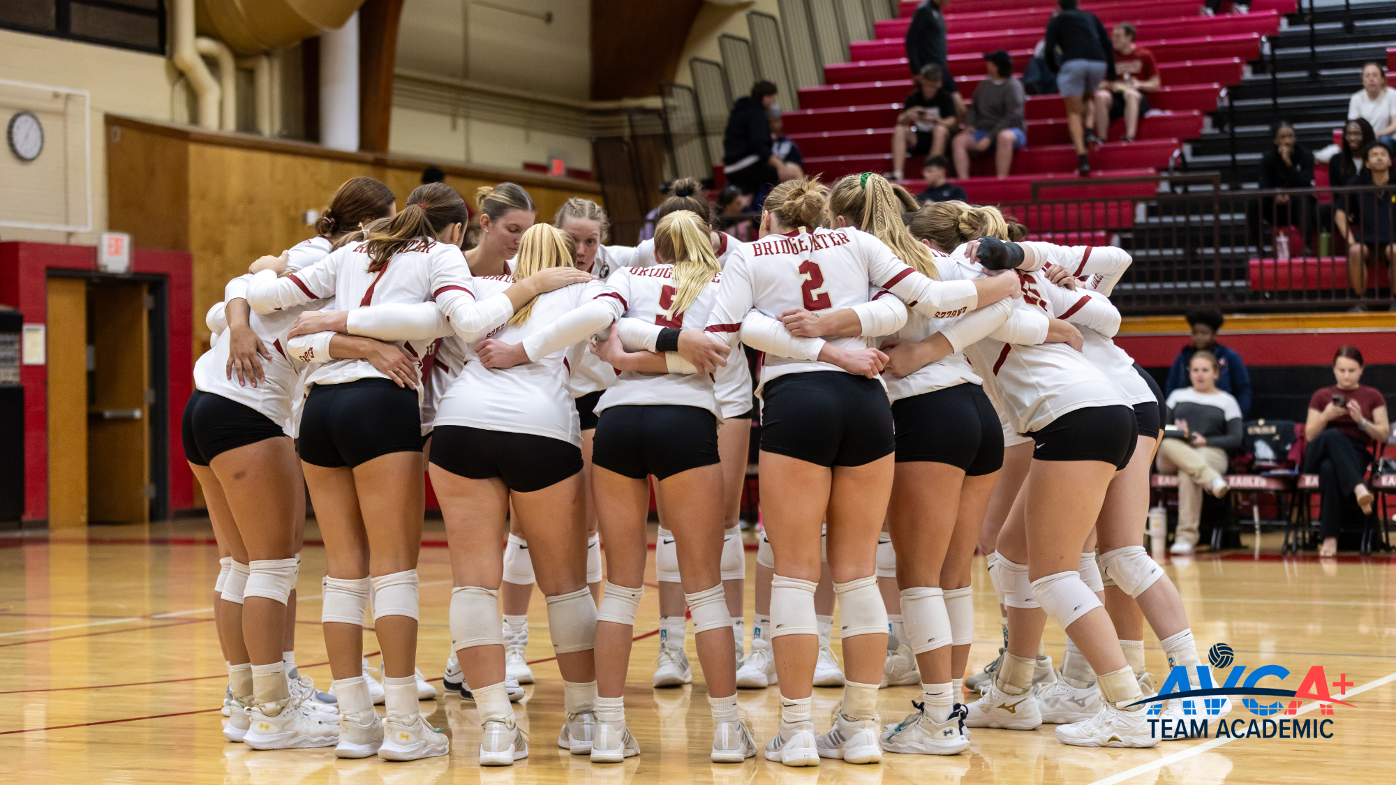 wvb avca team academic award