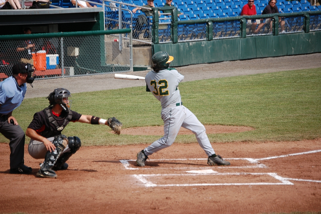 Baseball Stays Alive in NCAA Play SUNY Brockport Athletics