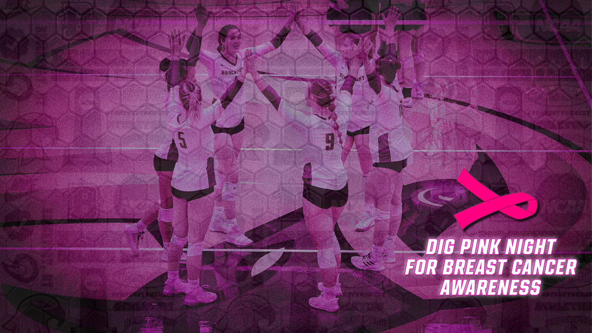 Volleyball Hosts Dig Pink Night for Breast Cancer Awareness on Tuesday