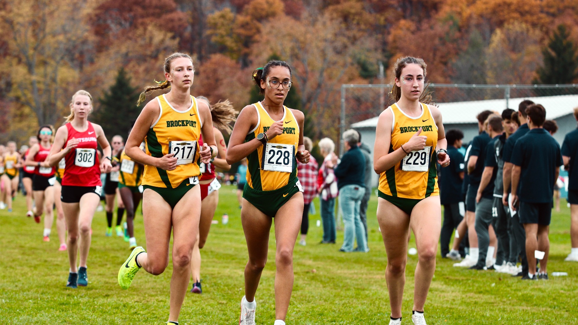 Cross Country Ready for NCAA Regionals at Houghton SUNY Brockport Athletics
