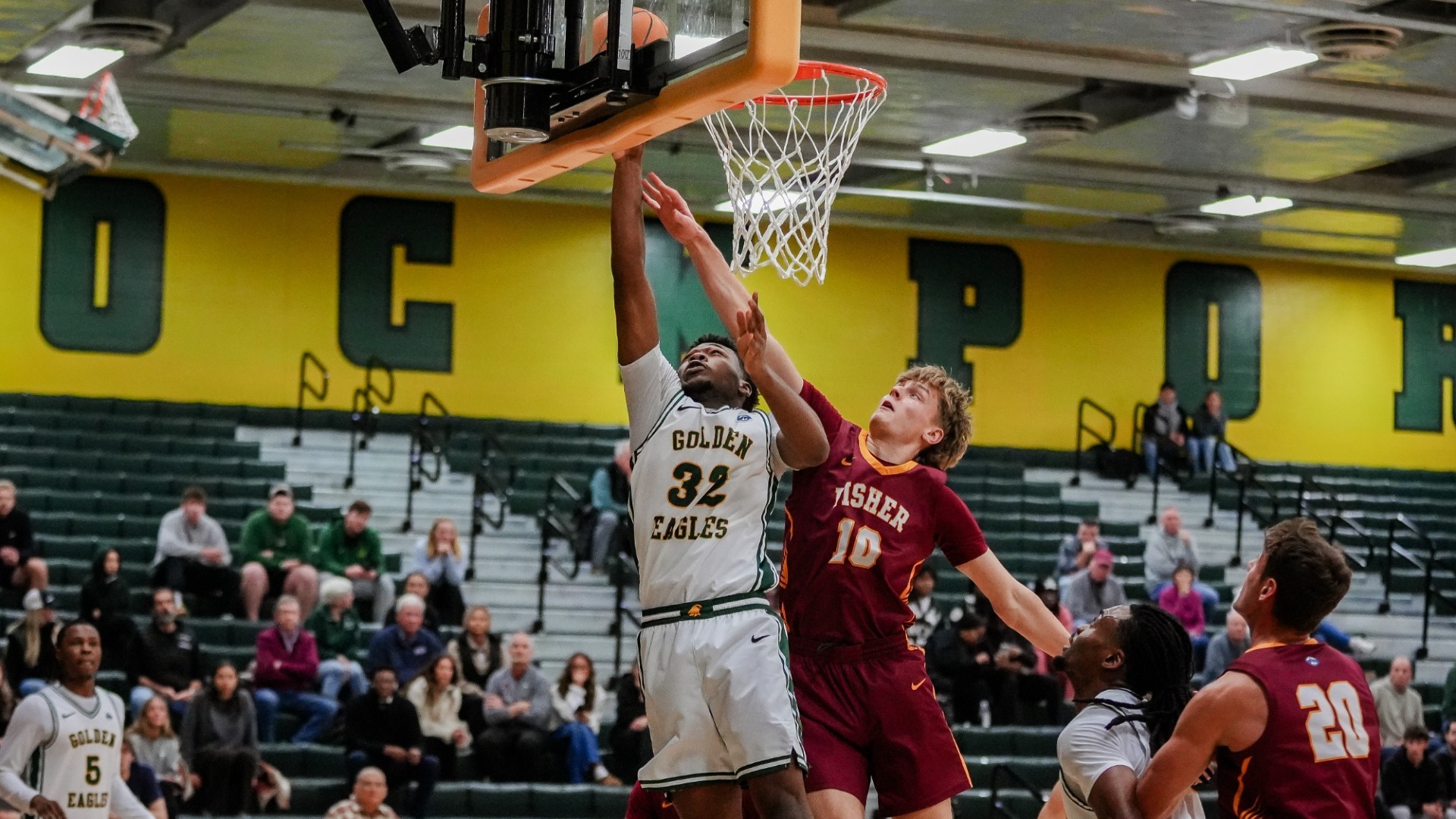 Prestory vs Houghton/Alfred