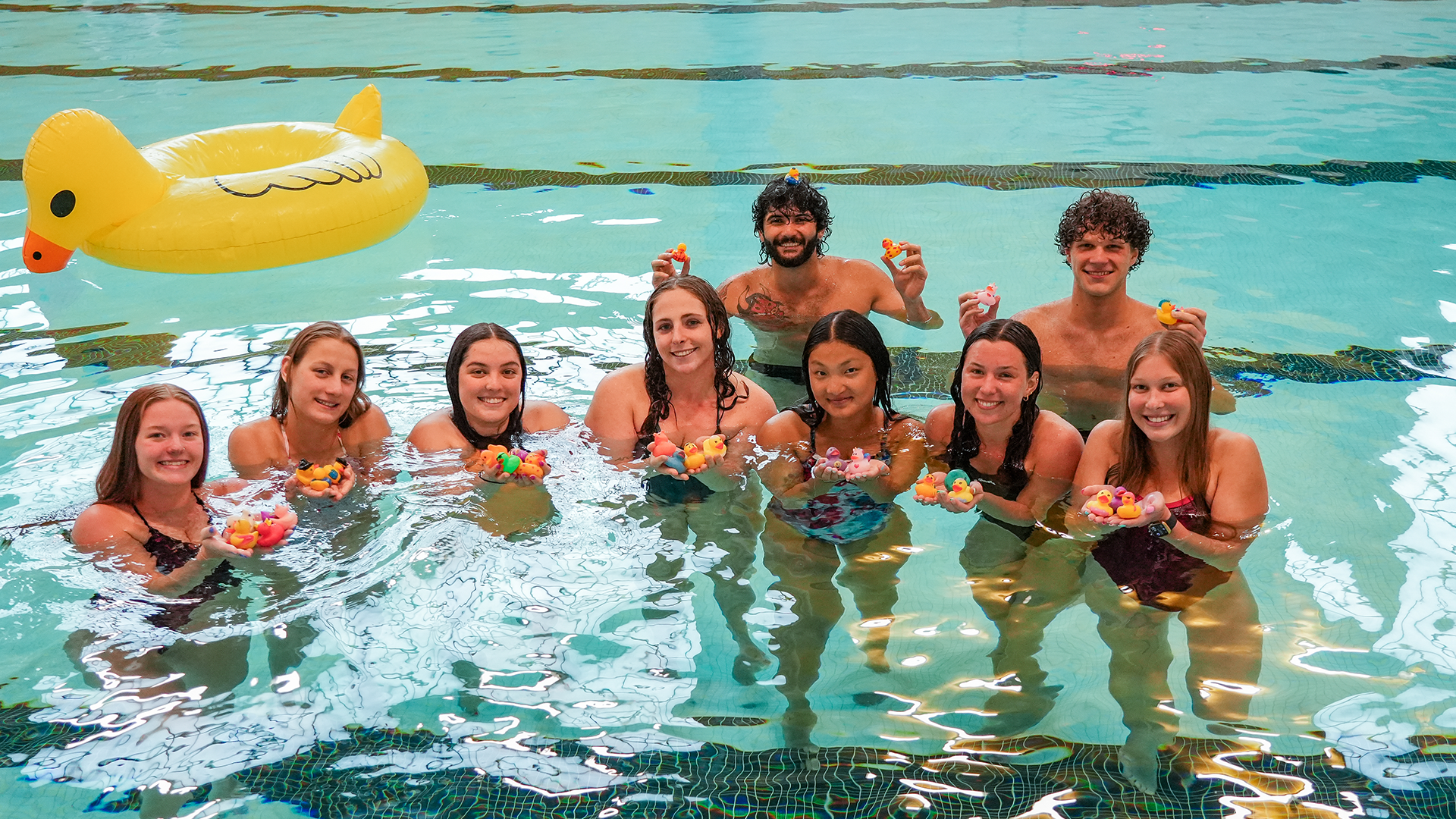 Swim and Dive Chuck a Duck