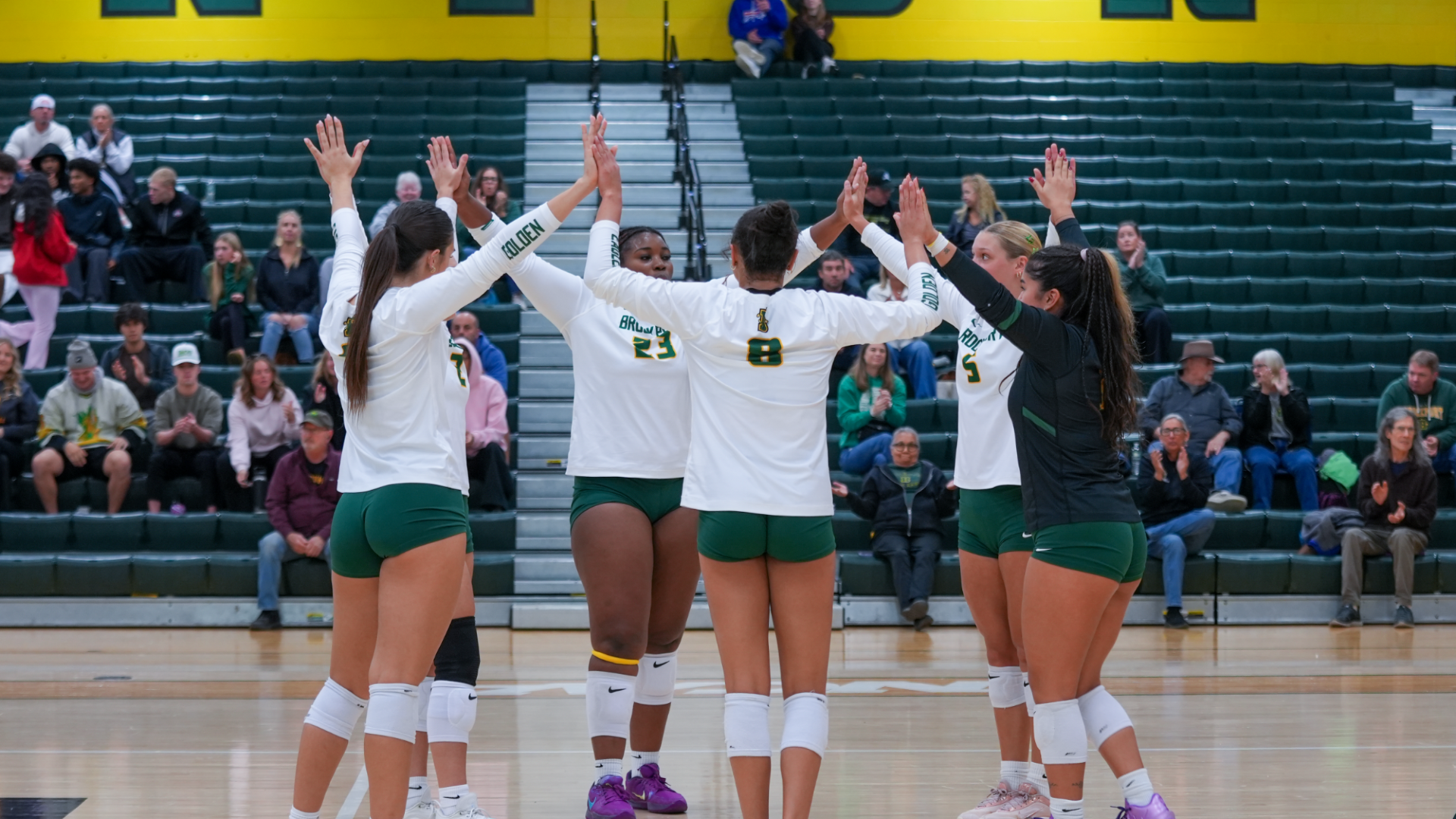 Volleyball