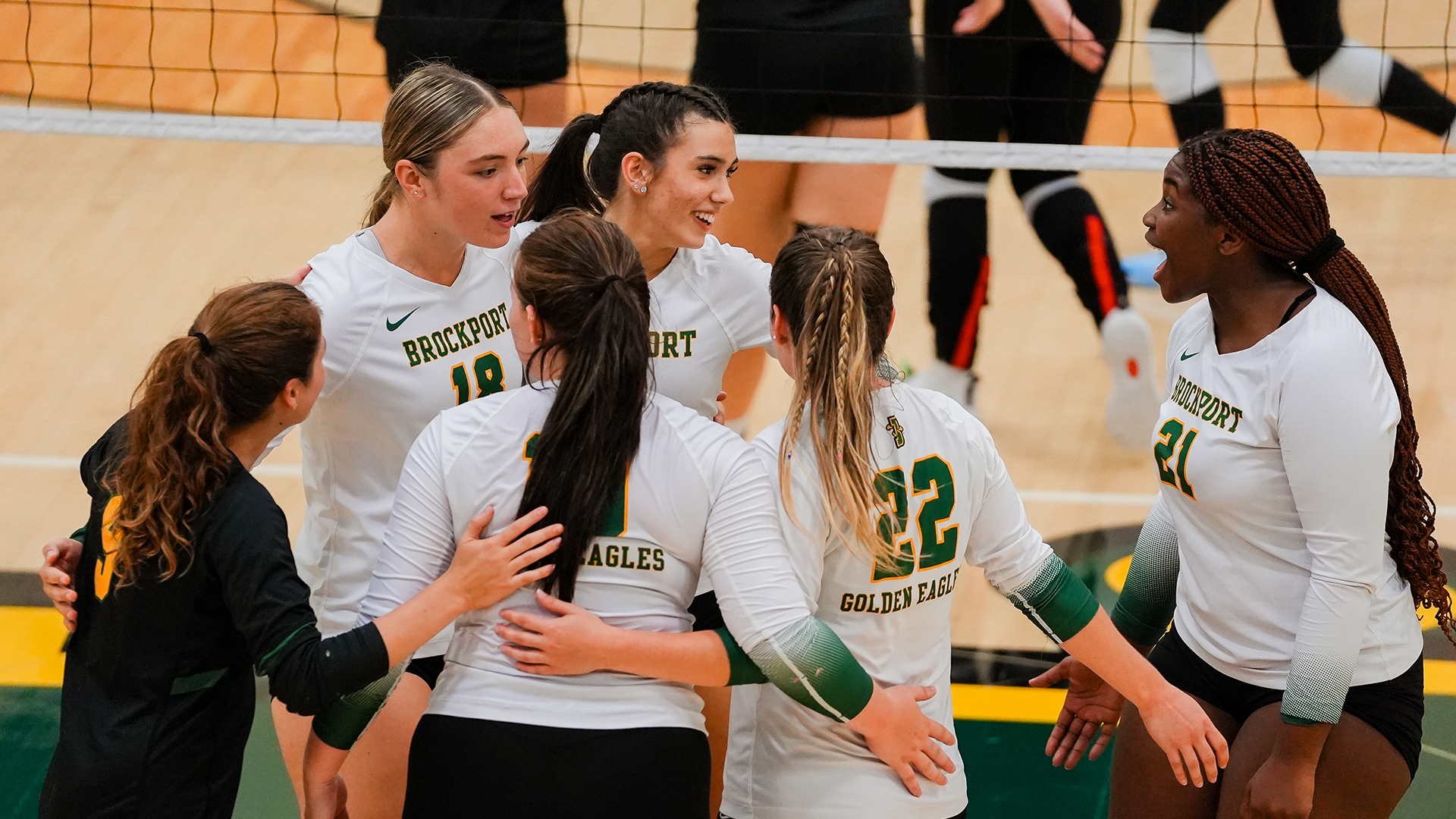 VB Group On the court