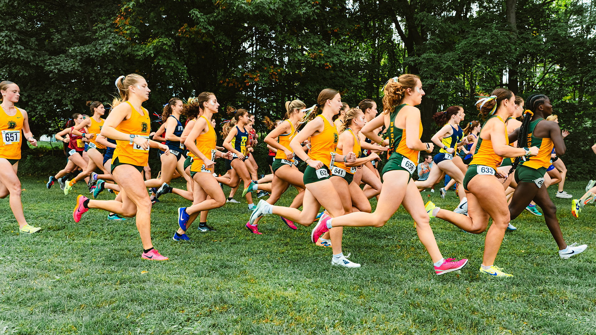WXC