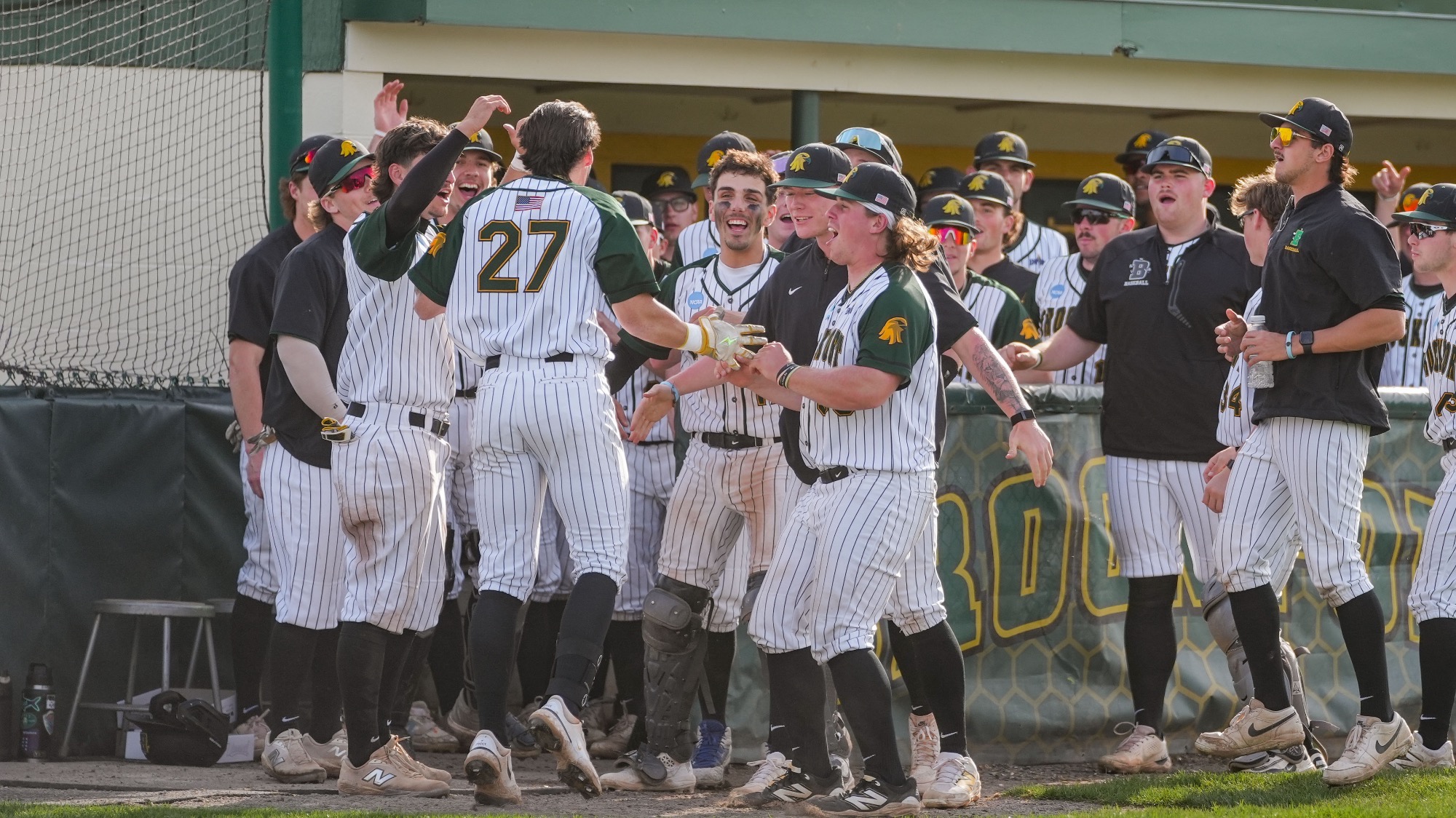 Baseball home run celebration 