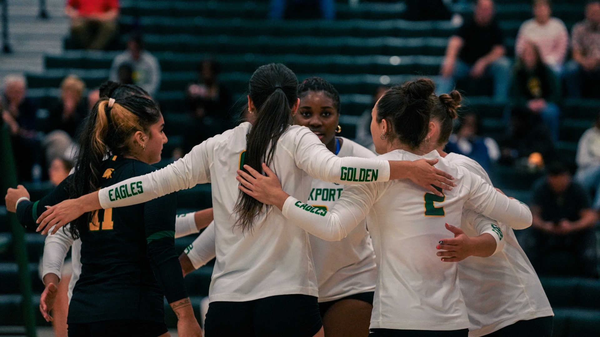 Volleyball vs Buffalo State