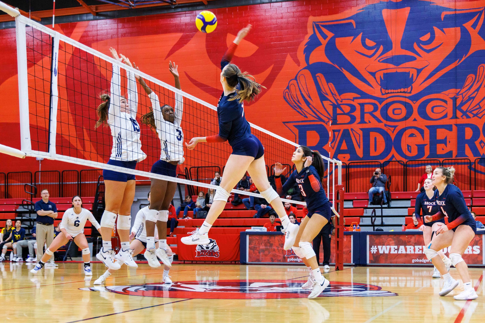 Laurin Ainsworth Women's Volleyball Brock University Athletics