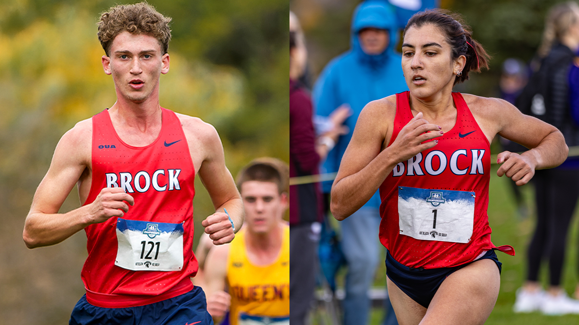 De Felice and Huston