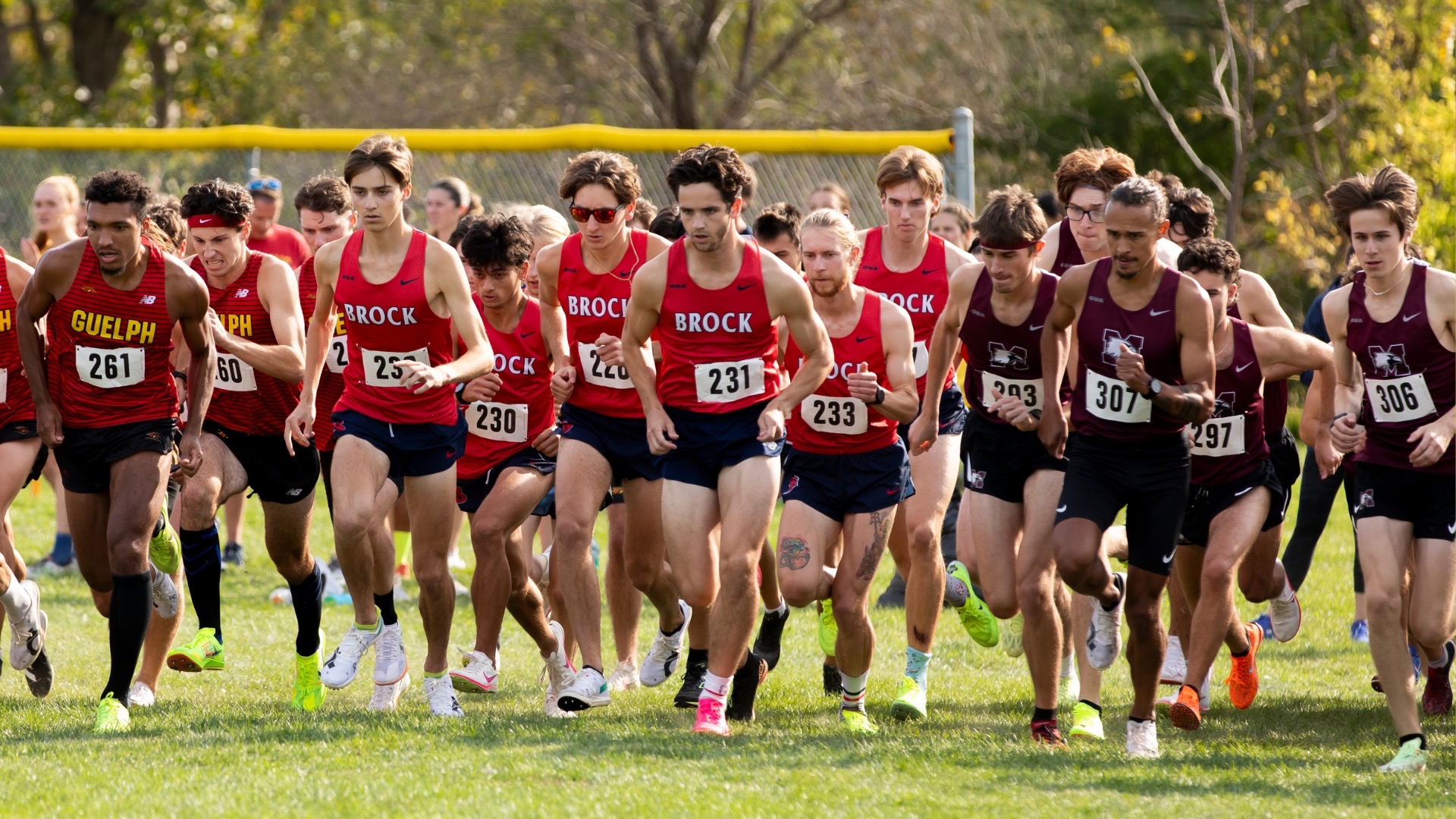 Brock men's cross country team competes at Bayfront Open