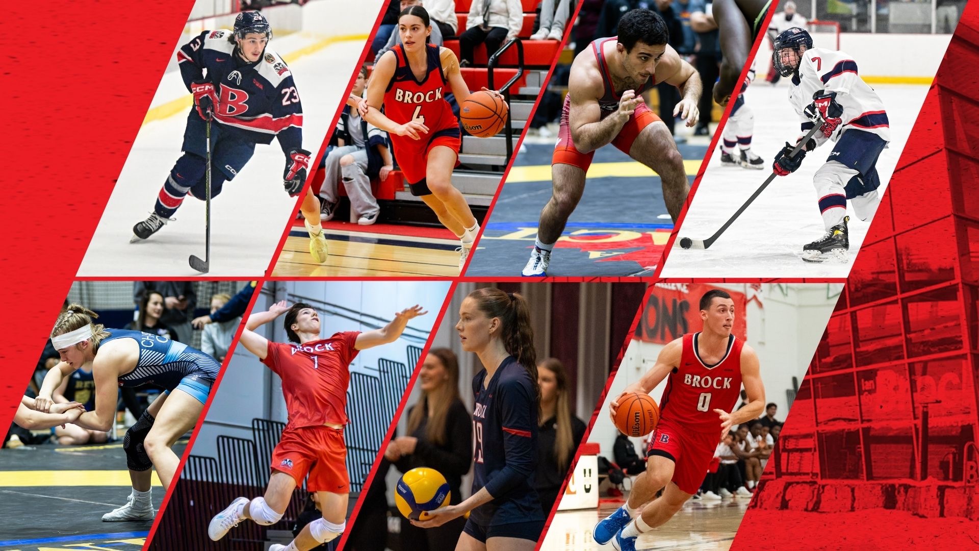 Weekly Wrap - Nov. 24-30