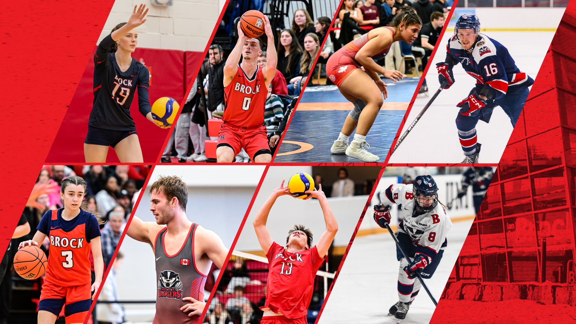 Weekly Wrap - Jan. 11, 2026