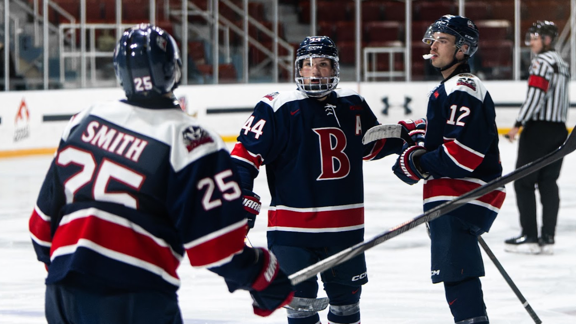 The Brock Badgers men's hockey team celebrate a goal
