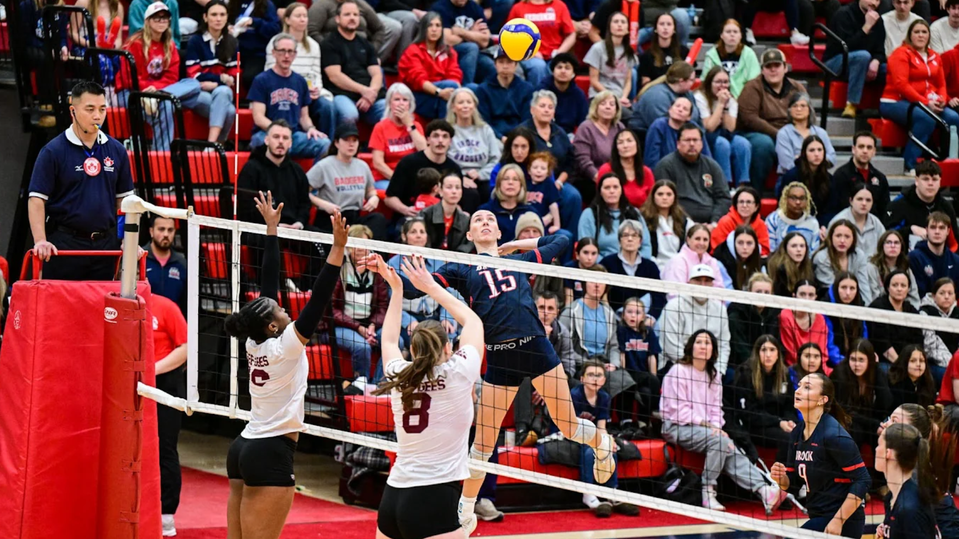 A Brock women's volleyball player prepares to spike the ball