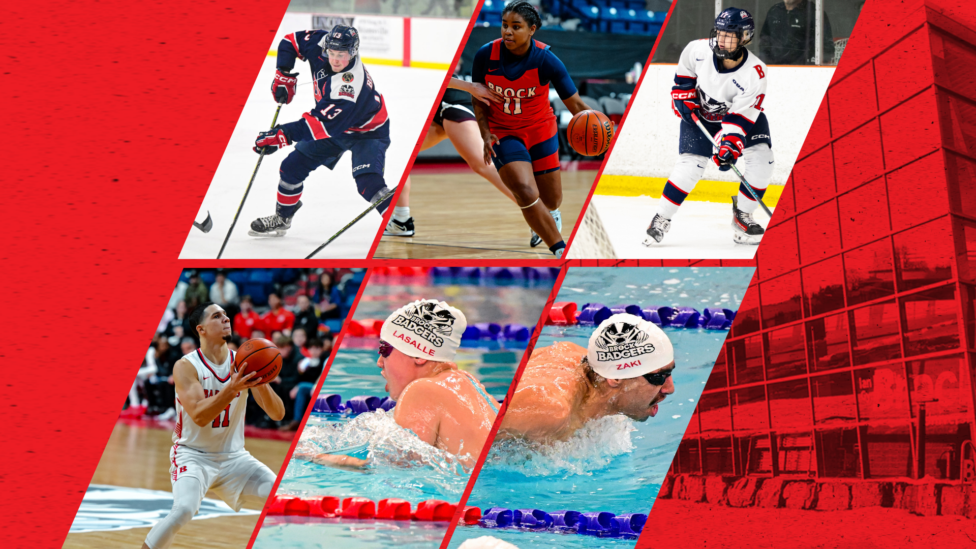 Weekly Wrap - Jan. 26 - Feb.1 