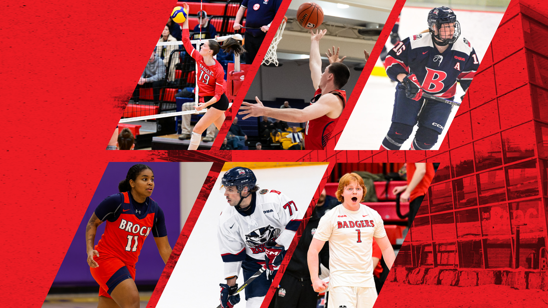 Weekly Wrap - Feb. 9-15