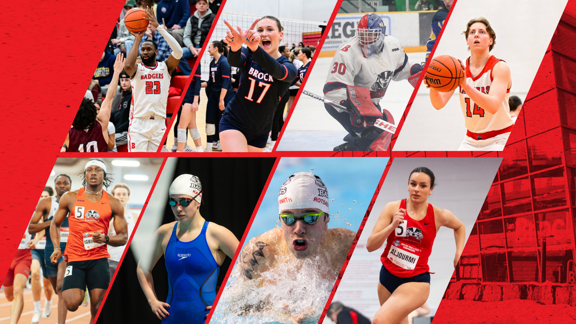 Weekly Wrap - Feb. 16-22