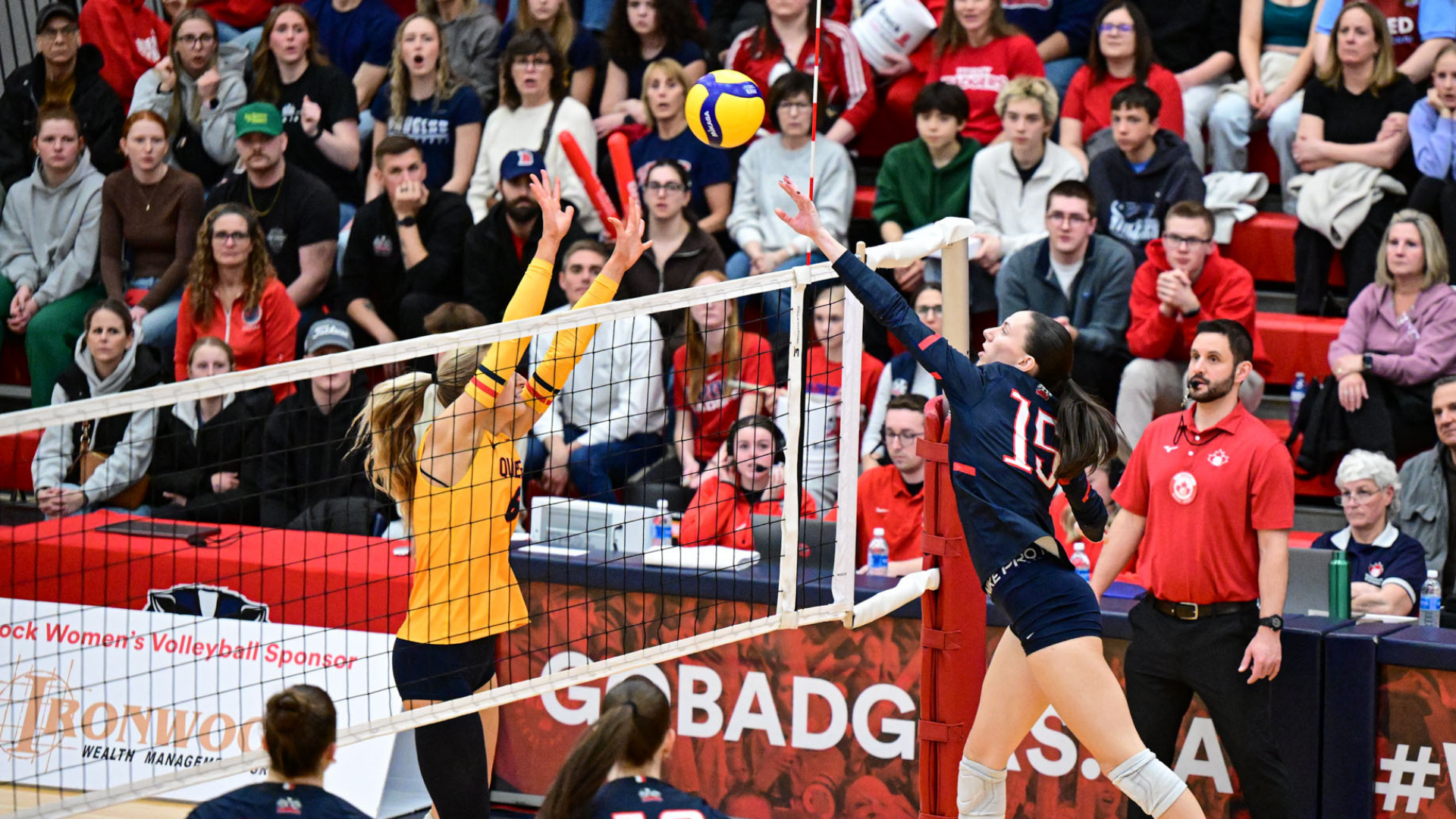 Madison Tuck home page image