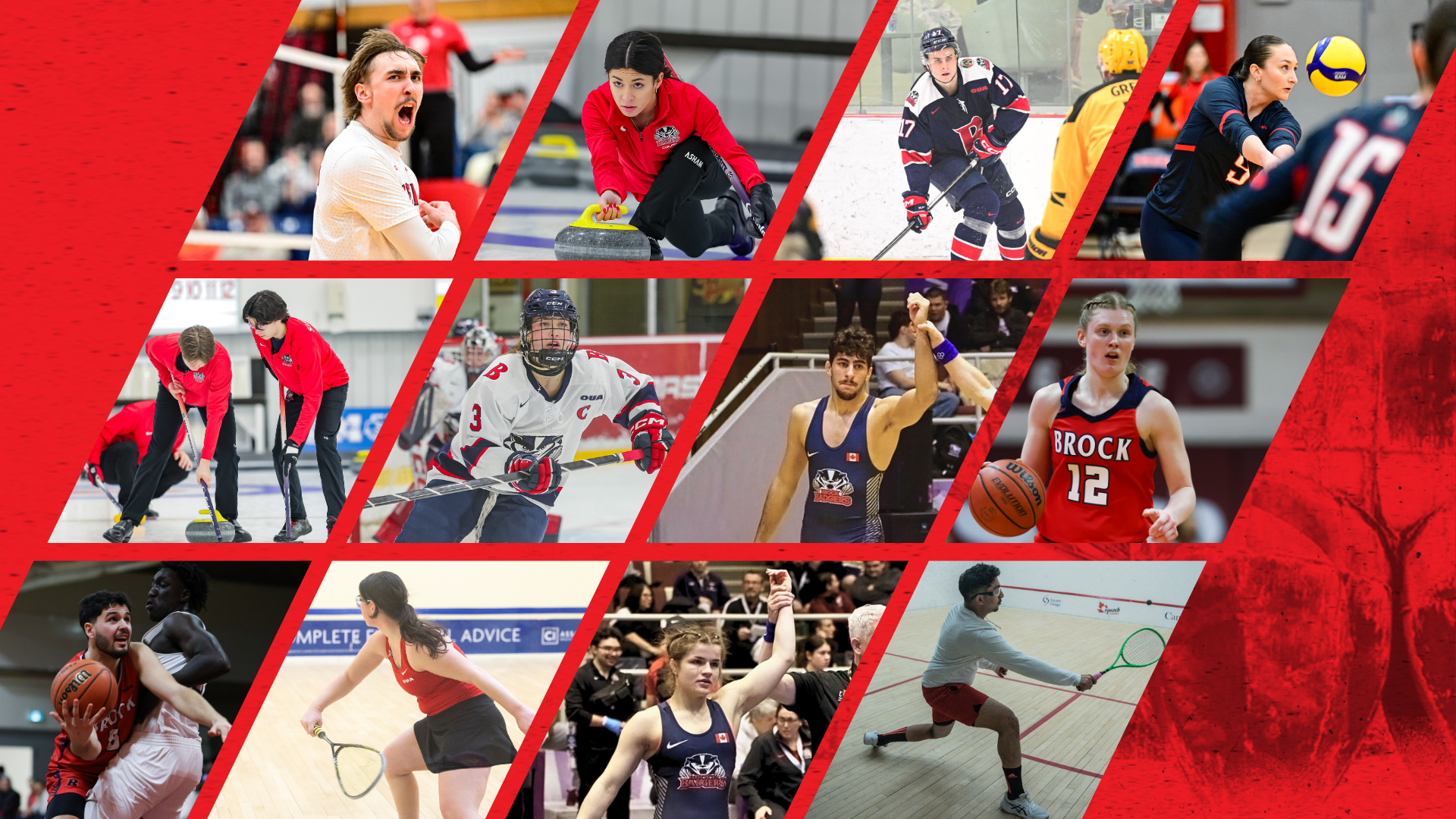 Weekly Wrap - Feb. 2-8, 2026