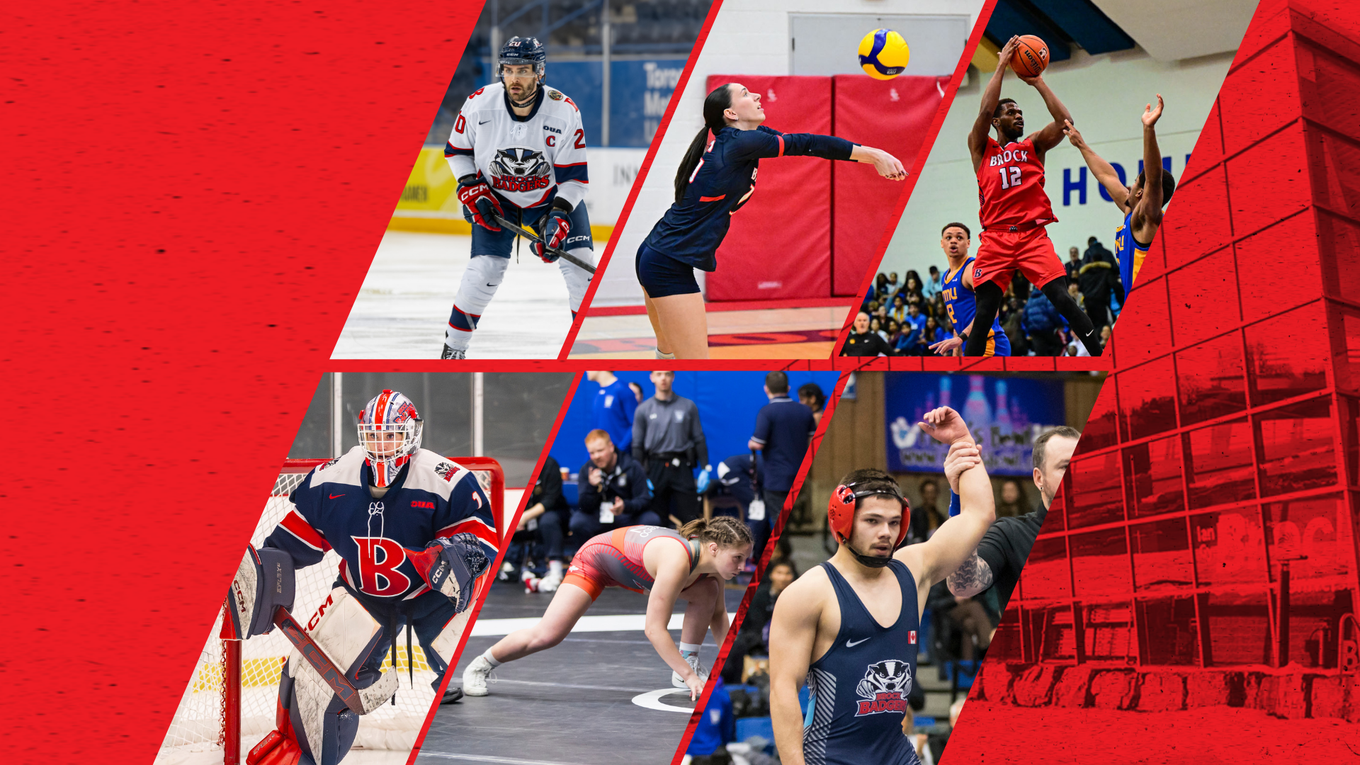 Weekly Wrap - March. 1, 2026