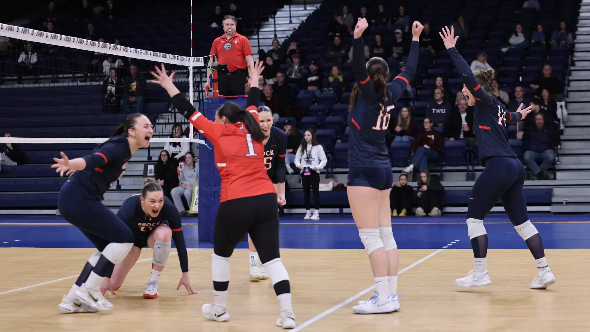The Brock Badgers women's volleyball team celebrates the final point in the U SPORTS quarterfinal.