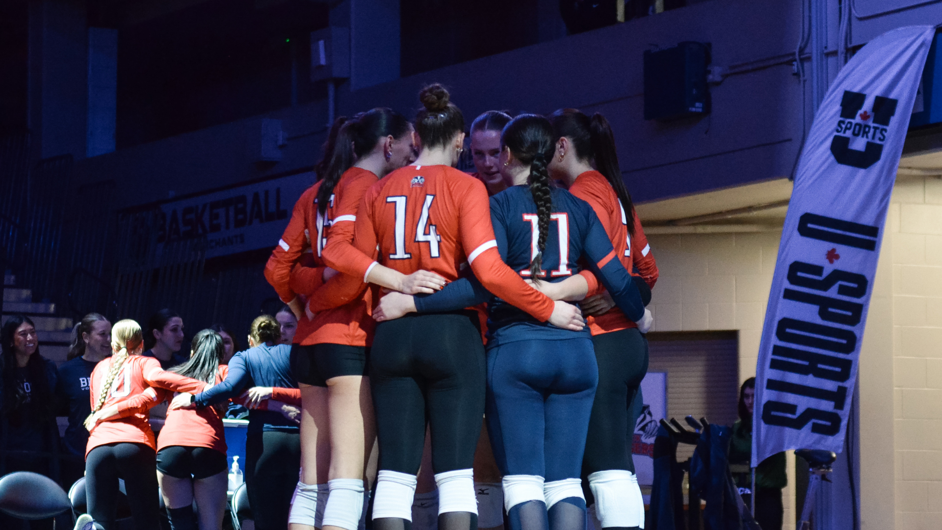 WVB U SPORTS home page image