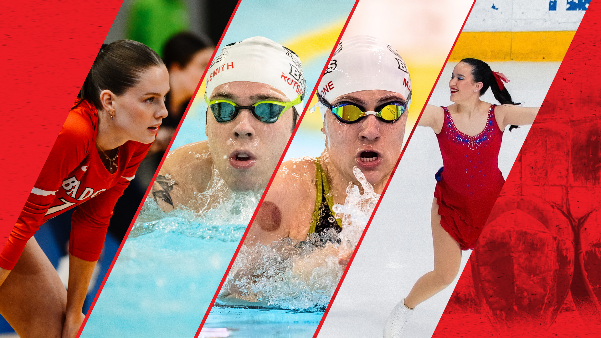 Badgers Weekly Wrap Cover Image