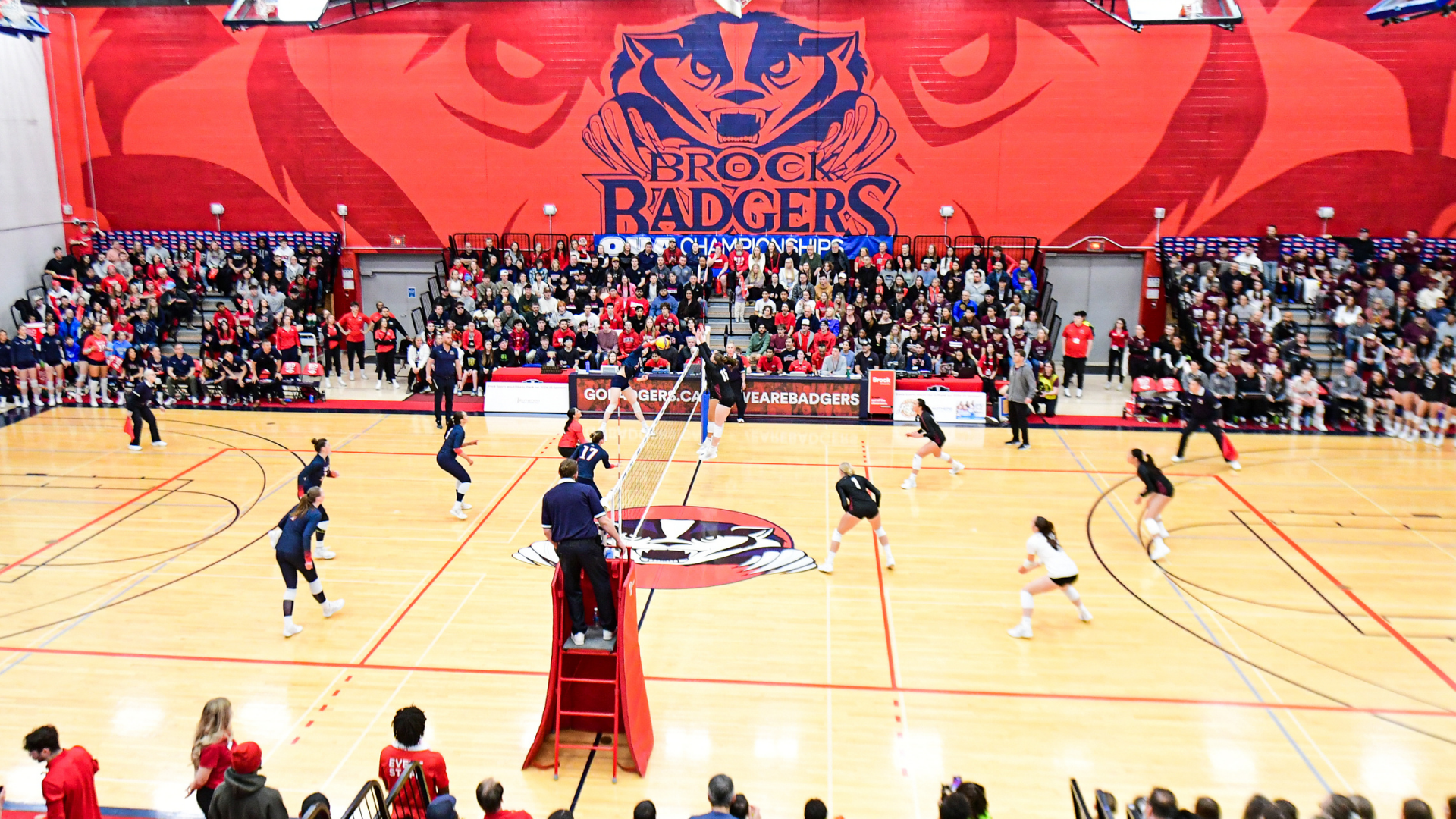 The Brock Badgers and McMaster Marauders at the Quigley Cup