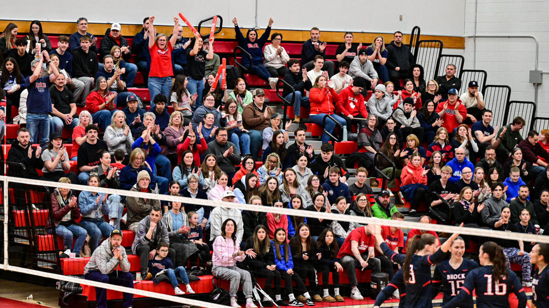 Women's volleyball cover photo