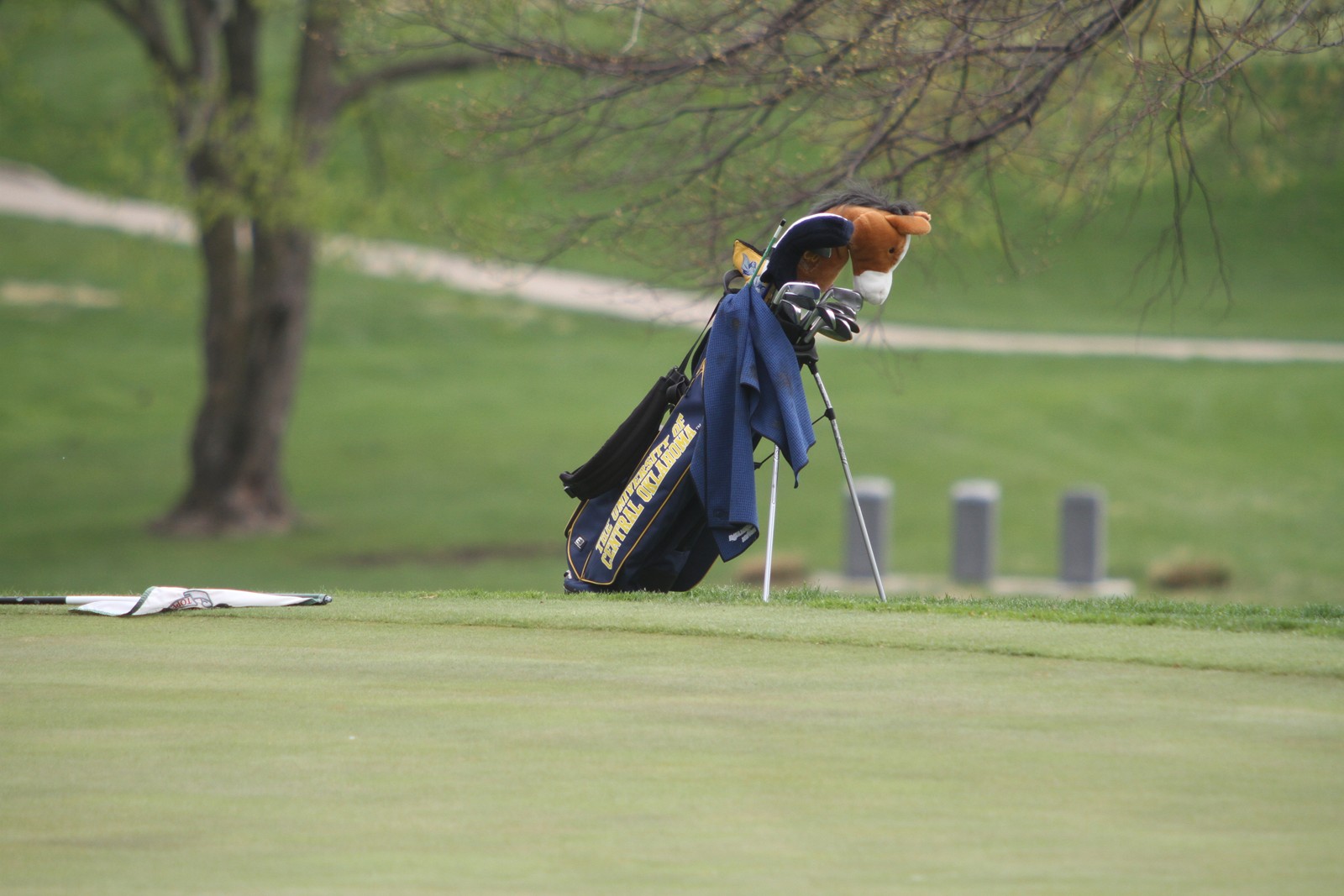 golf bag