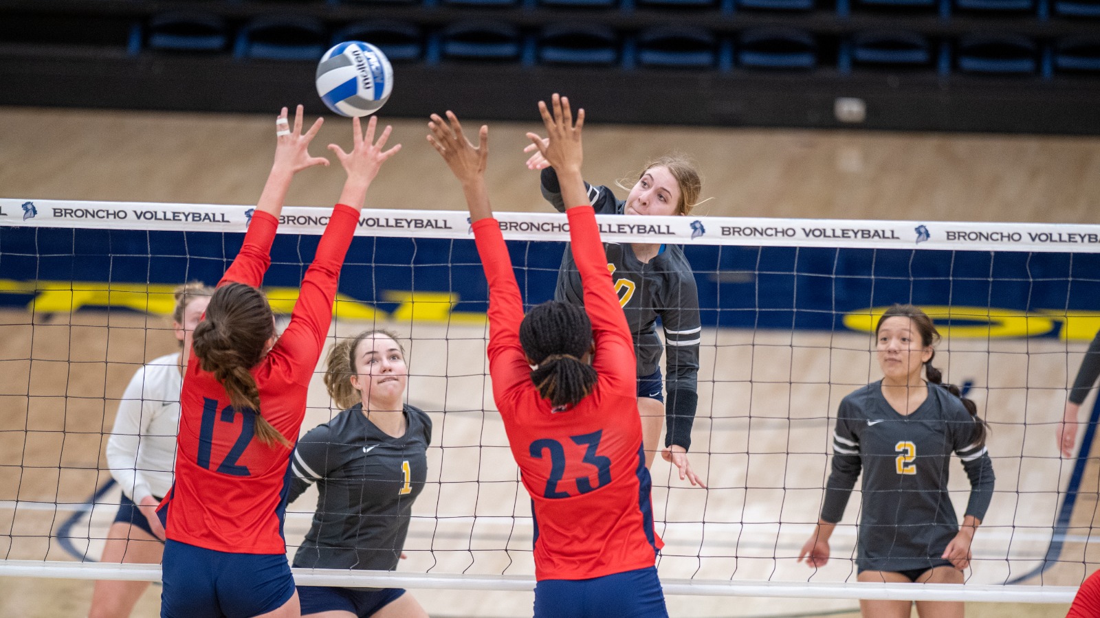 Lari Migliorino Women's Volleyball University of Central Oklahoma Athletics