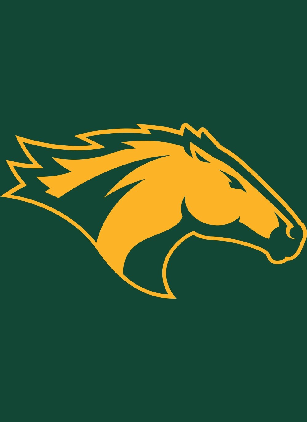 CPP Broncos Head Shot
