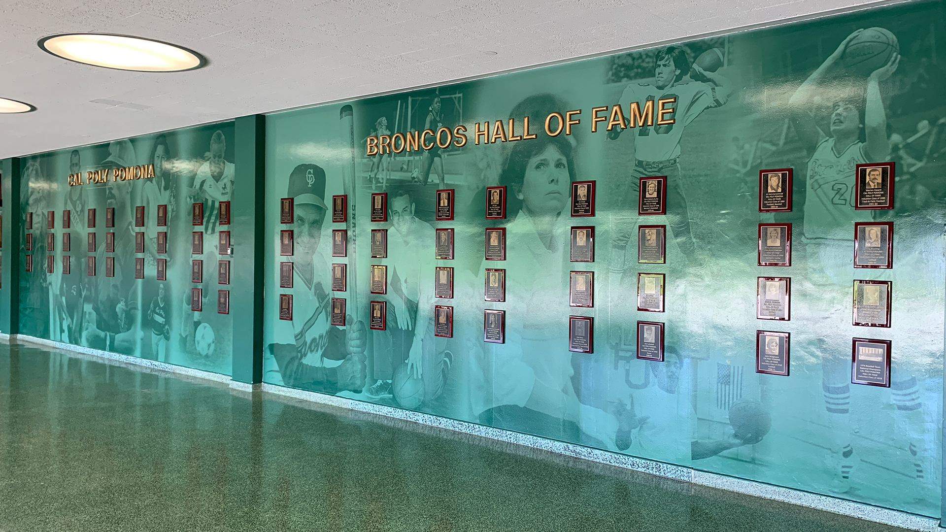 Cal Poly Pomona Athletics Hall of Fame Wall in Kellogg Arena
