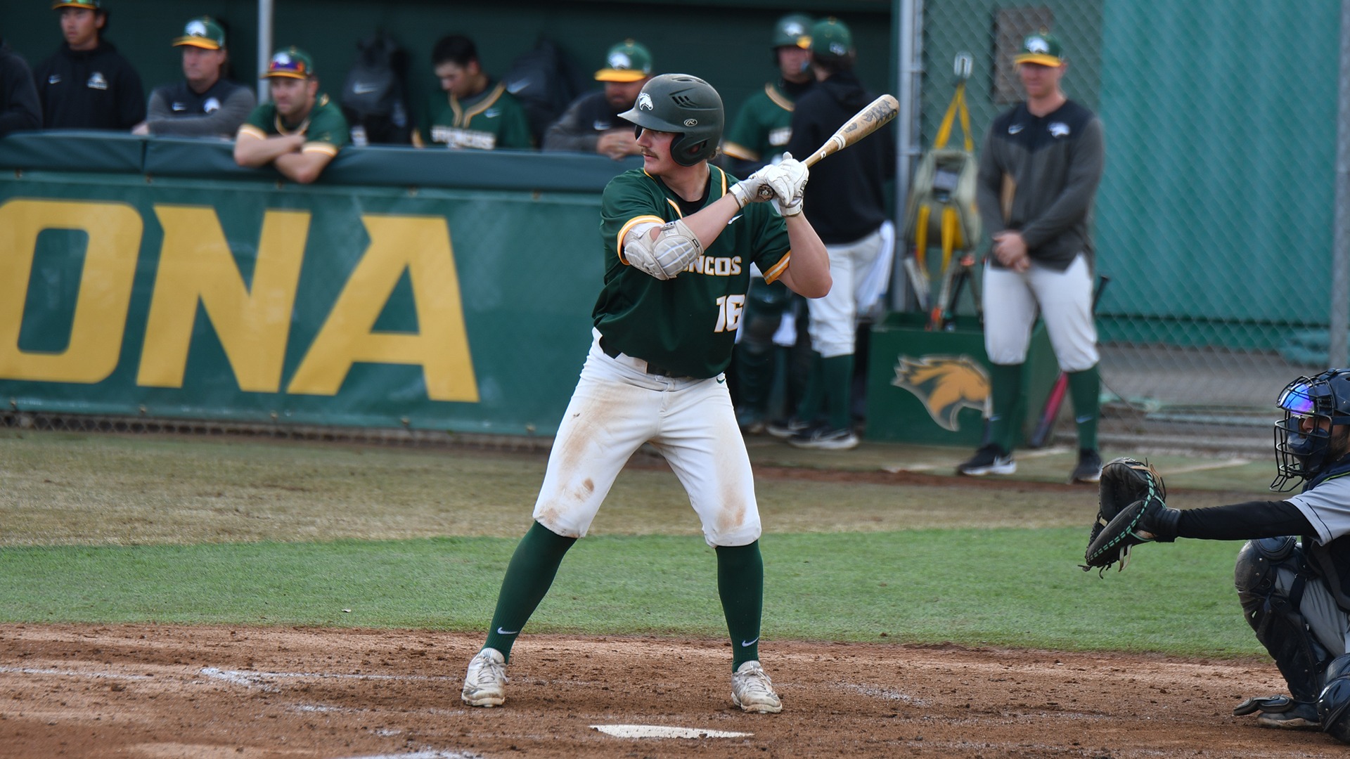 Marco Malerba 2023 Baseball Cal Poly Pomona Athletics Marco Malerba 2023 Baseball Cal Poly Pomona Athletics