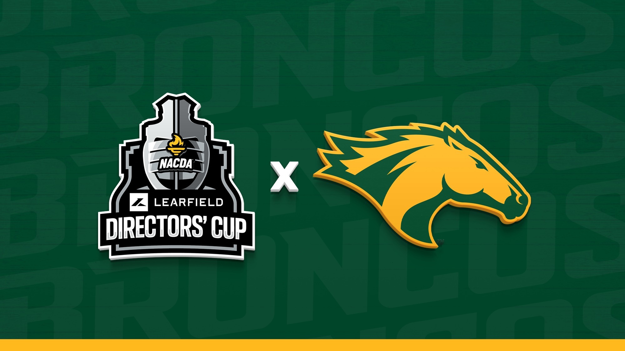 Learfield Directors Cup