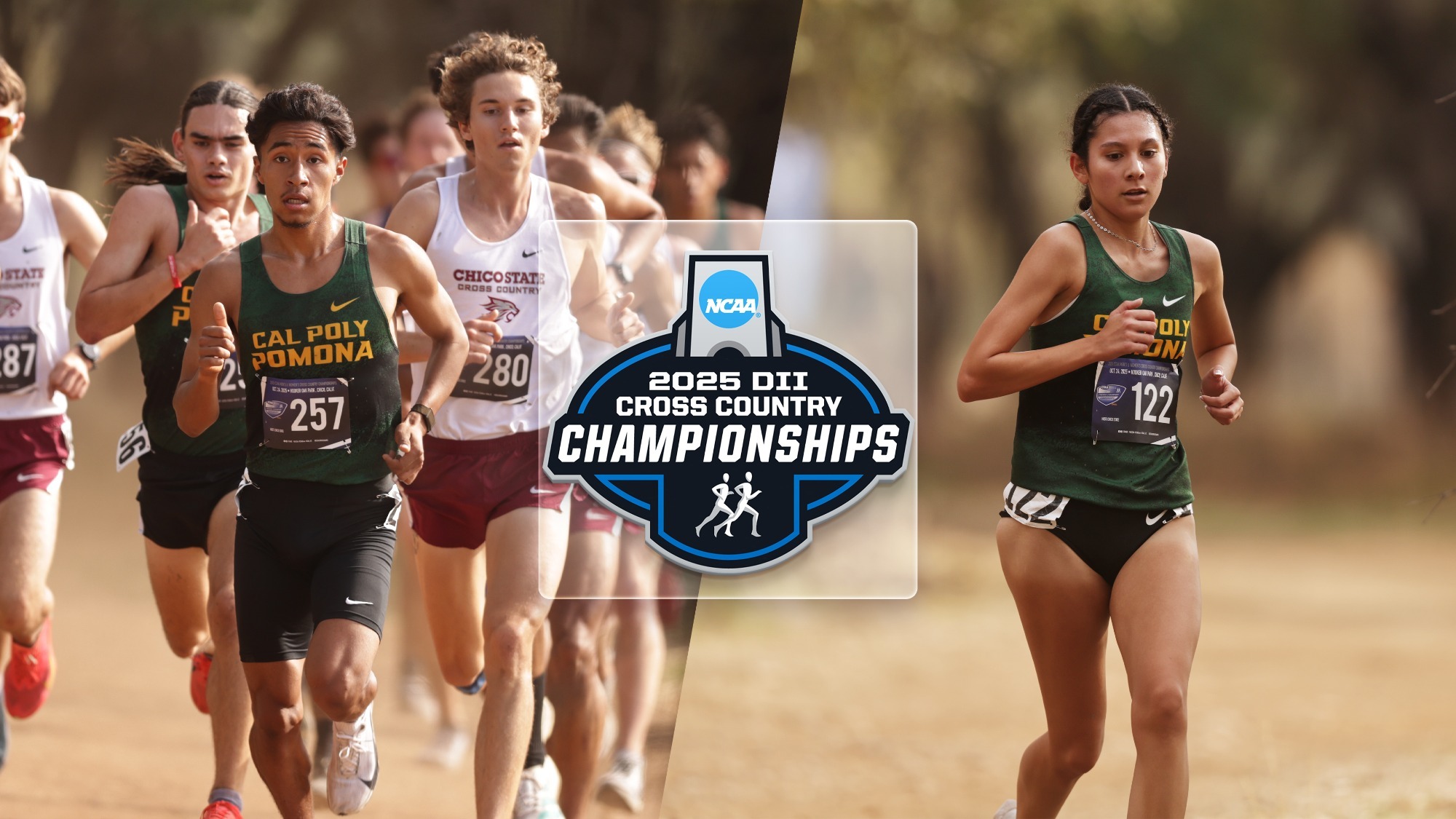 2025 XC Regional Preview