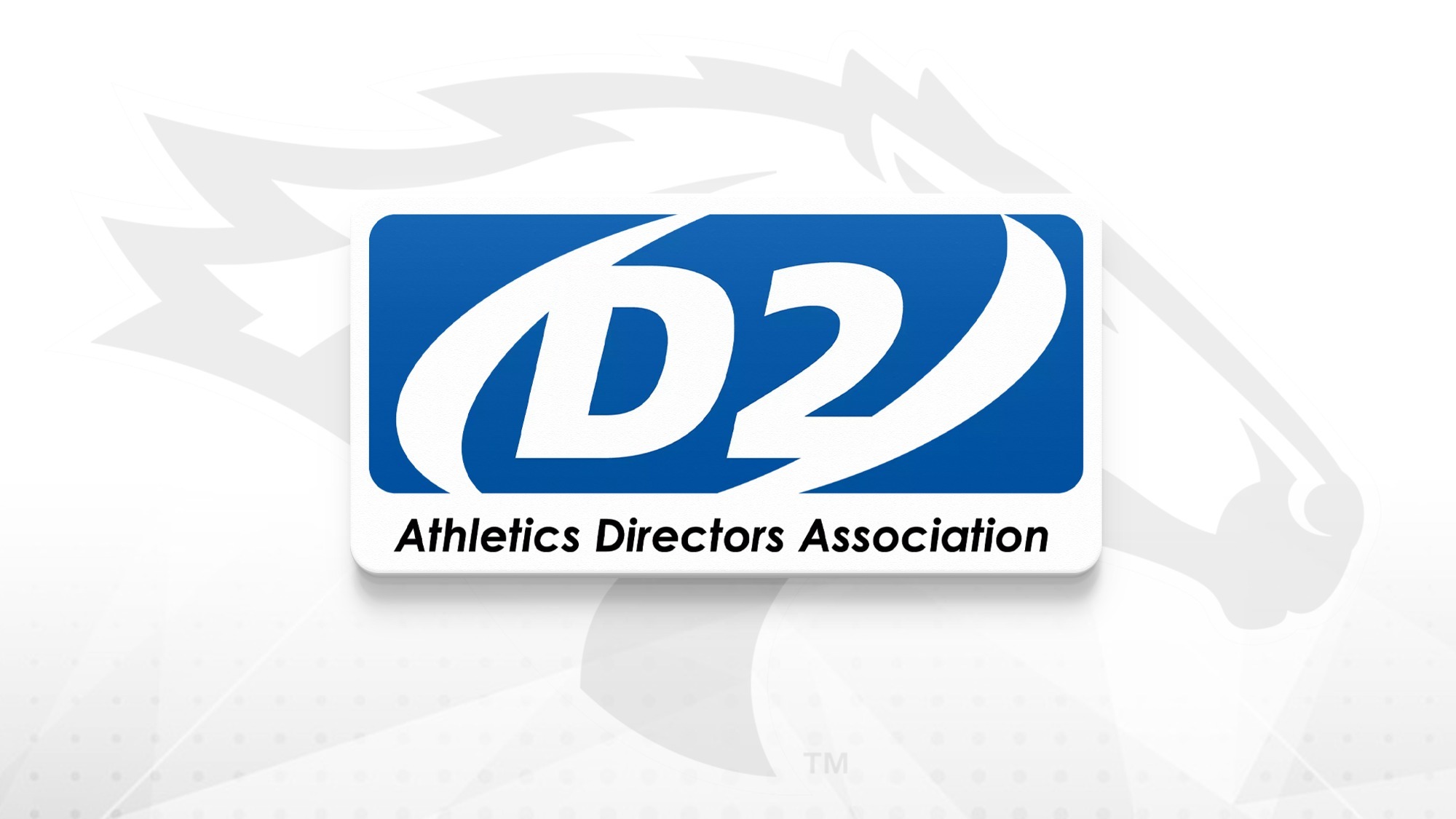 D2 ADA Article Cover