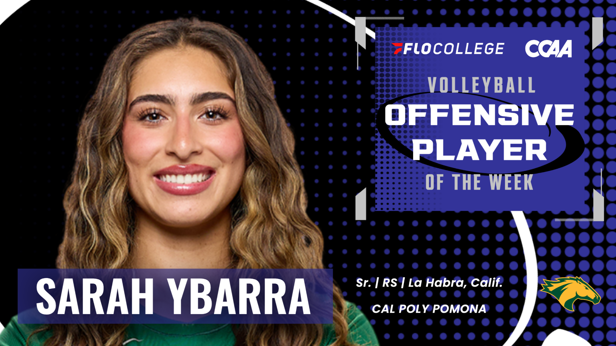 Ybarra POTW
