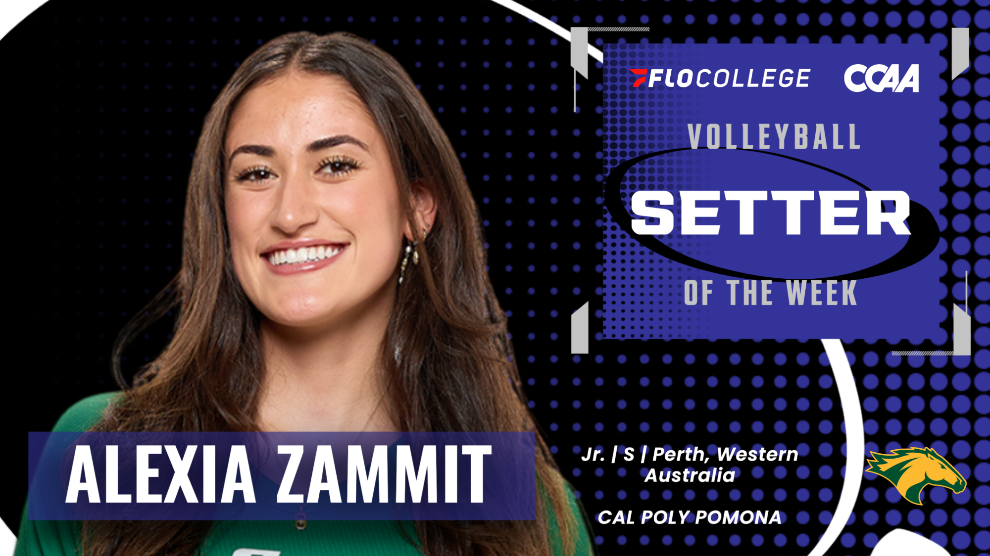 Zammit POTW