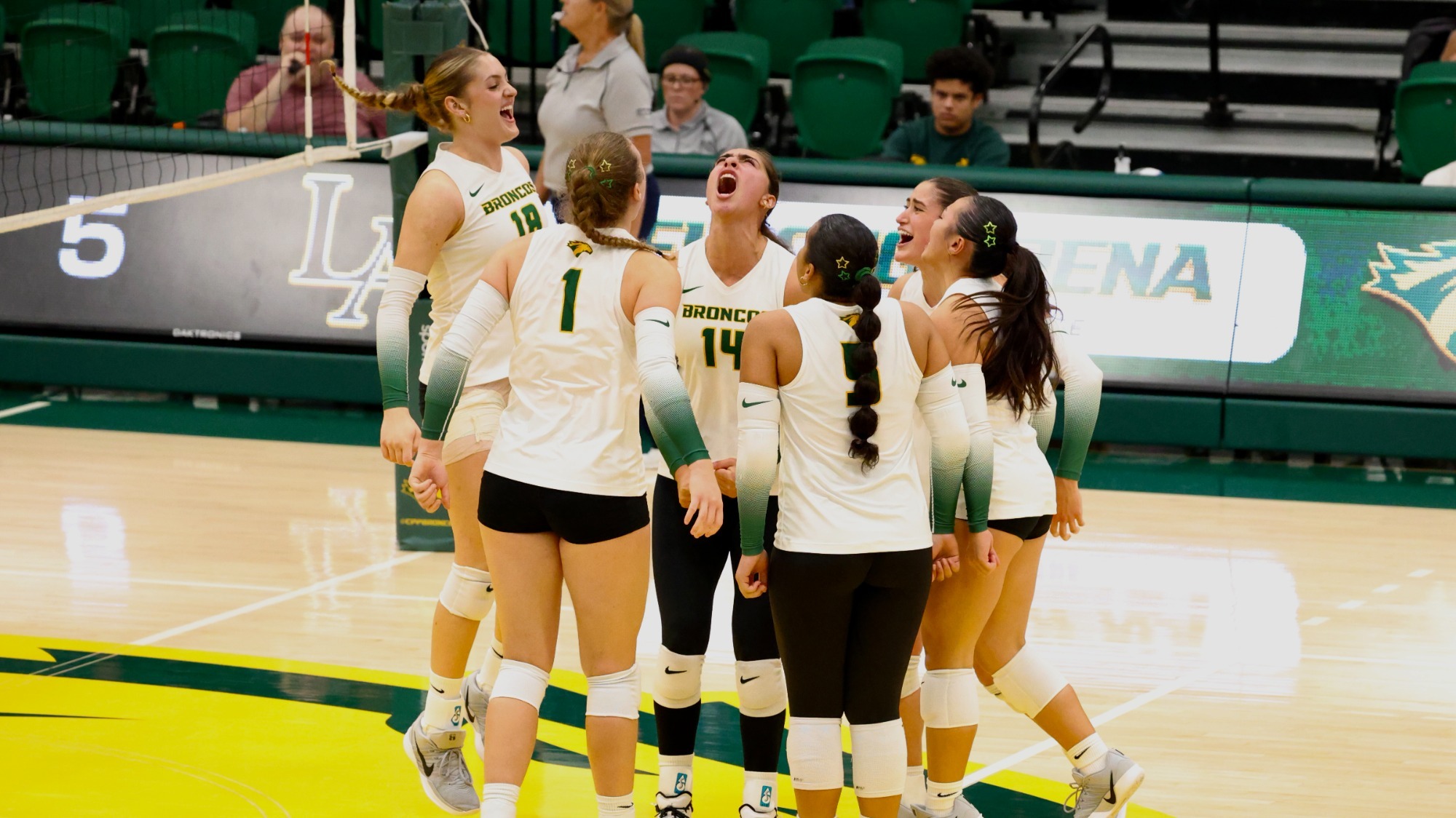 Team Celebration