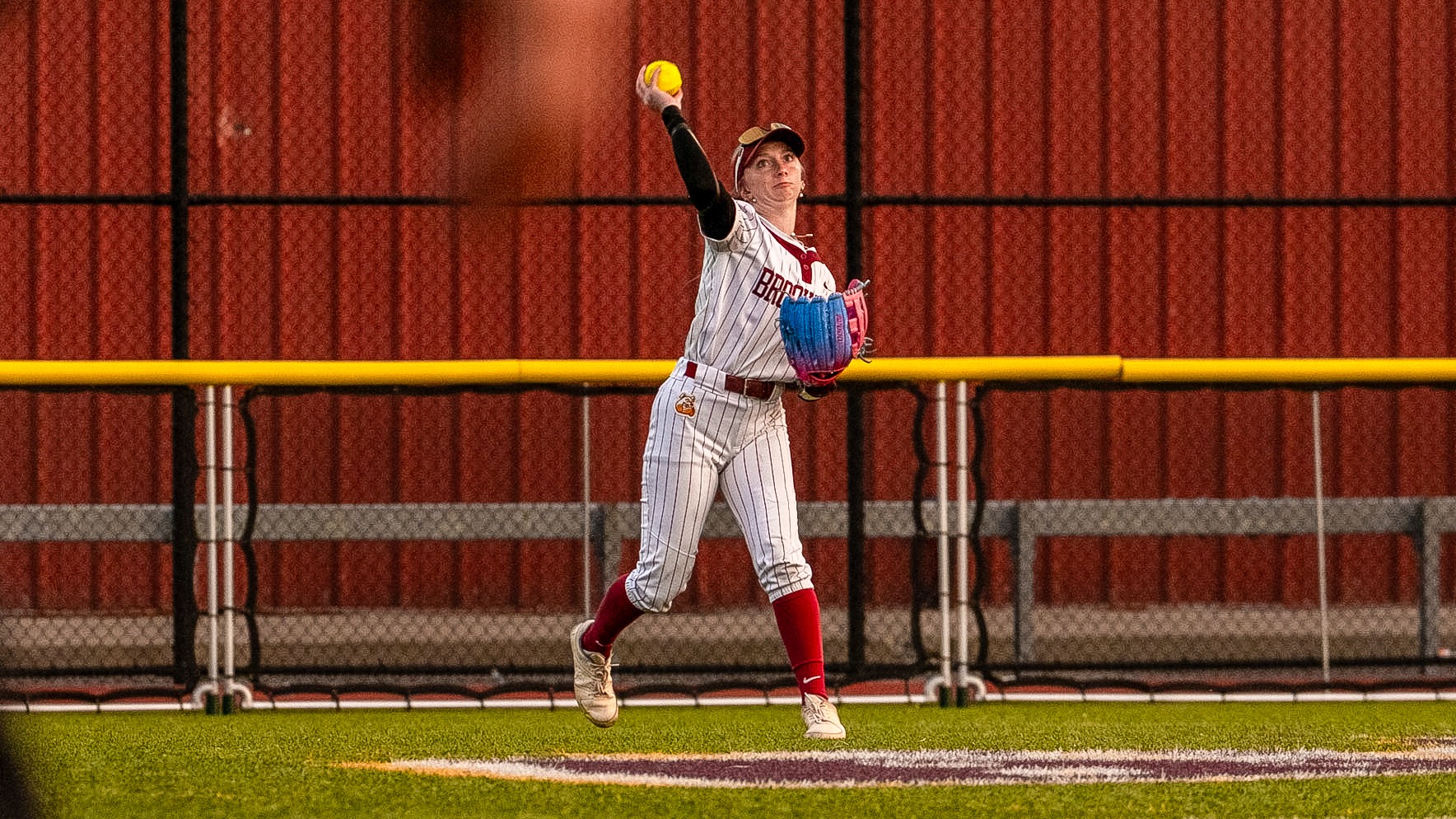 haylee throw 