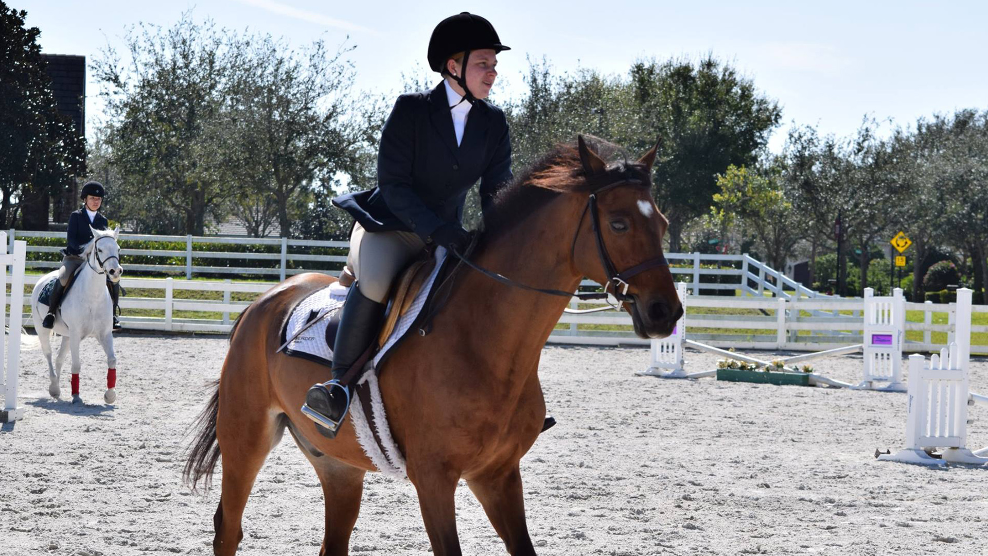 Equestrian Totals Nine TopThree Finishes at Ivy Show Brown University Athletics