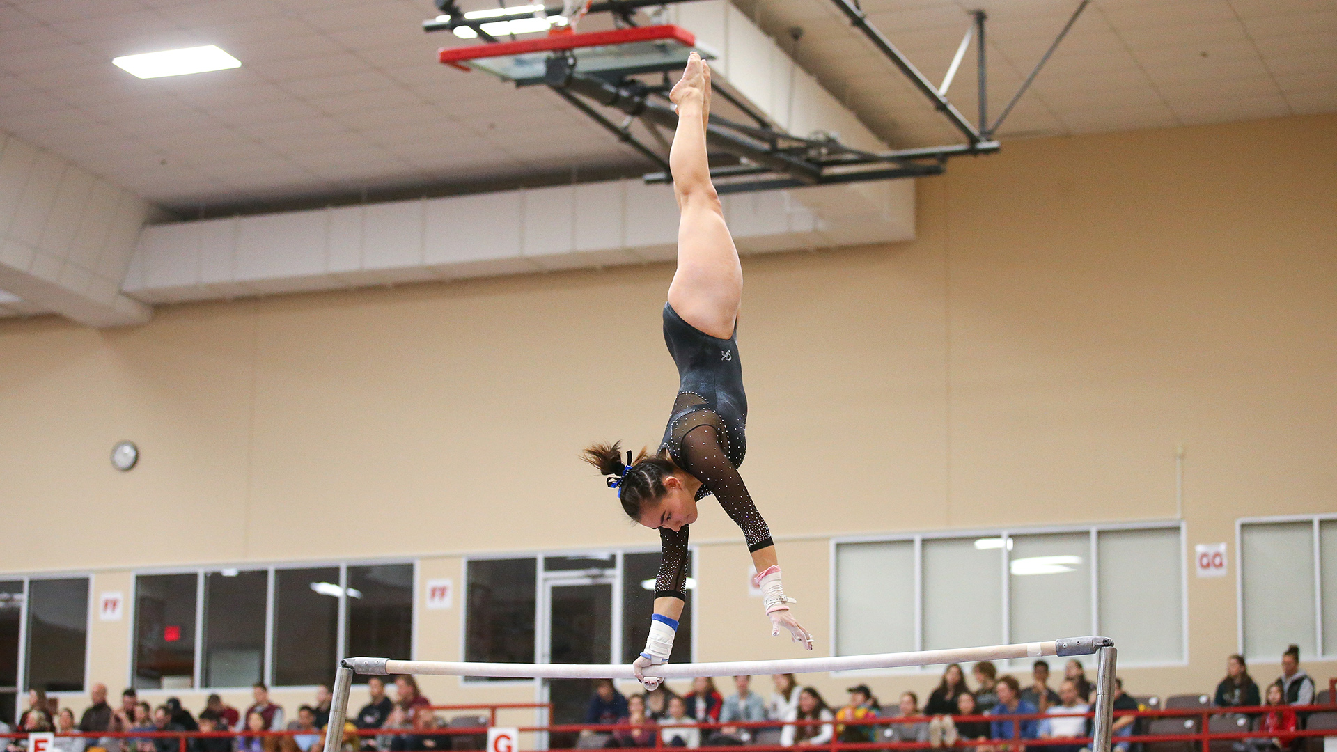 Costa Wins Ivy Vault, Bars Titles, Gymnastics Scores 193.050 at Ivy