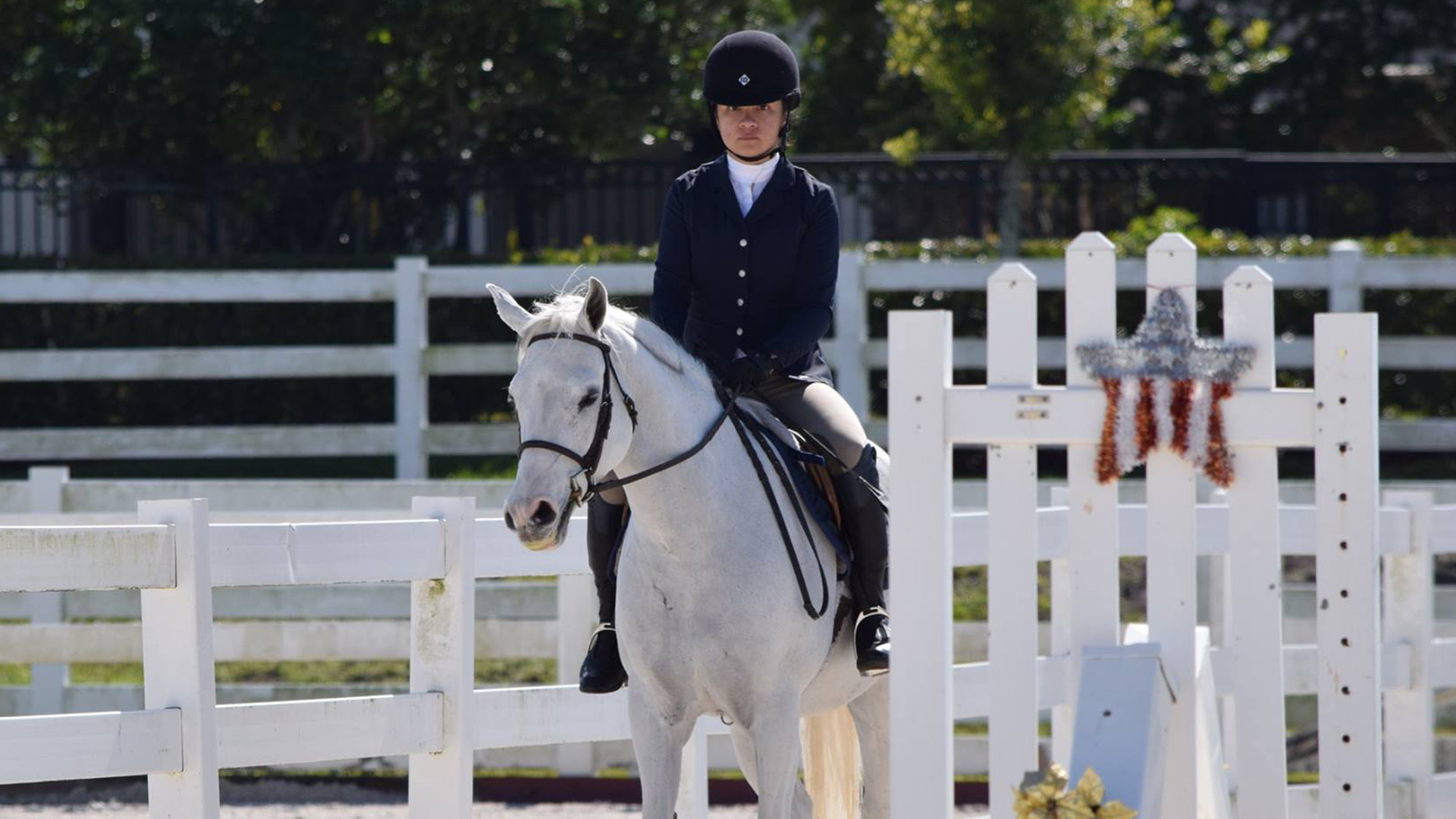 Equestrian Wins Three Blue Ribbons at Salve Regina Show Brown