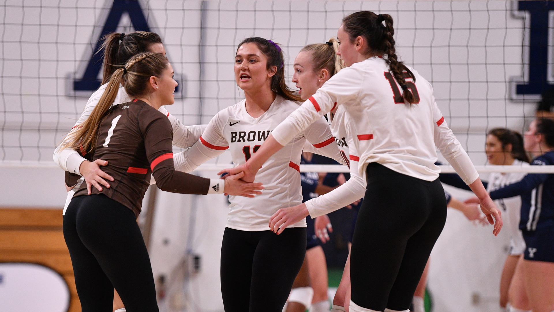 Volleyball falls in tournament final against Yale Brown University