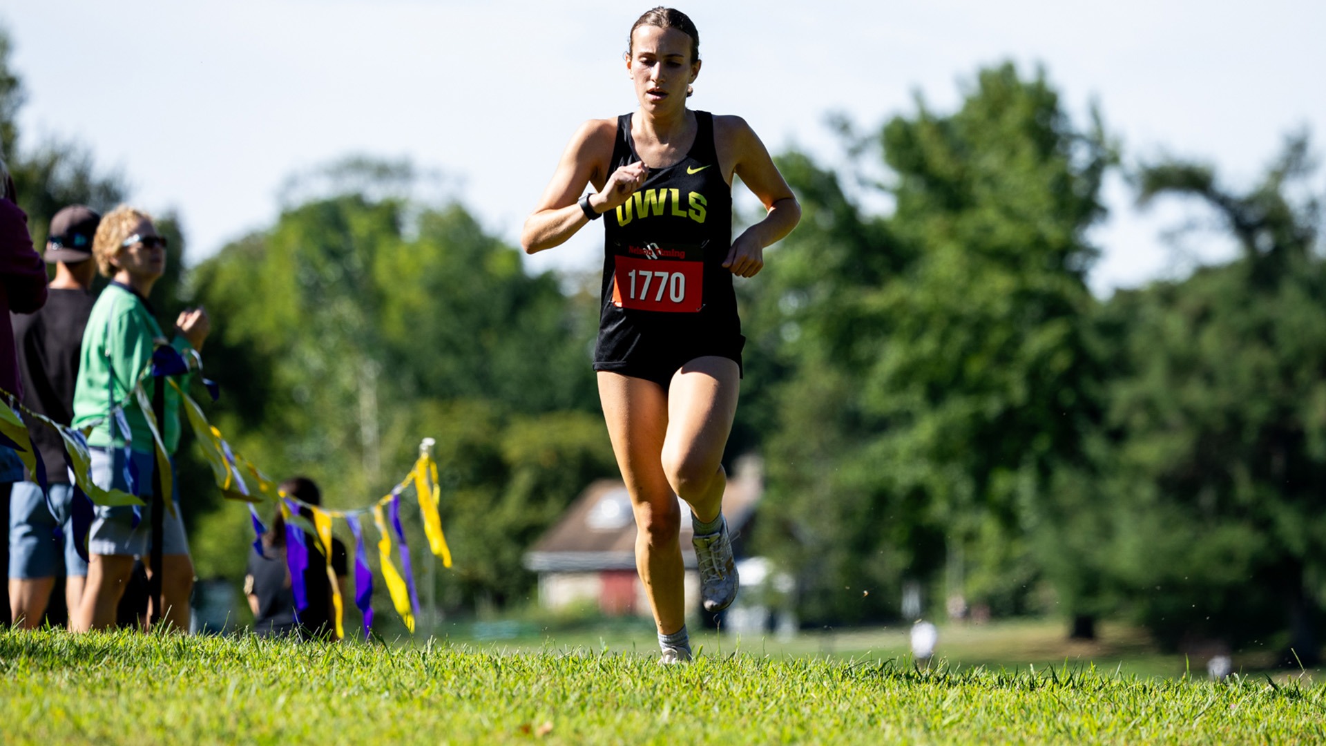 Rosa Carbon taken 8-30-25 at Rose Tree Park