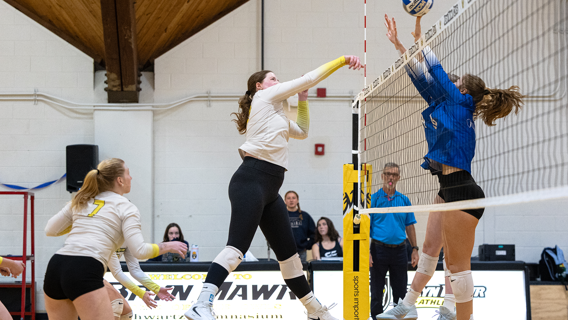 1105 Elise Perry by BT