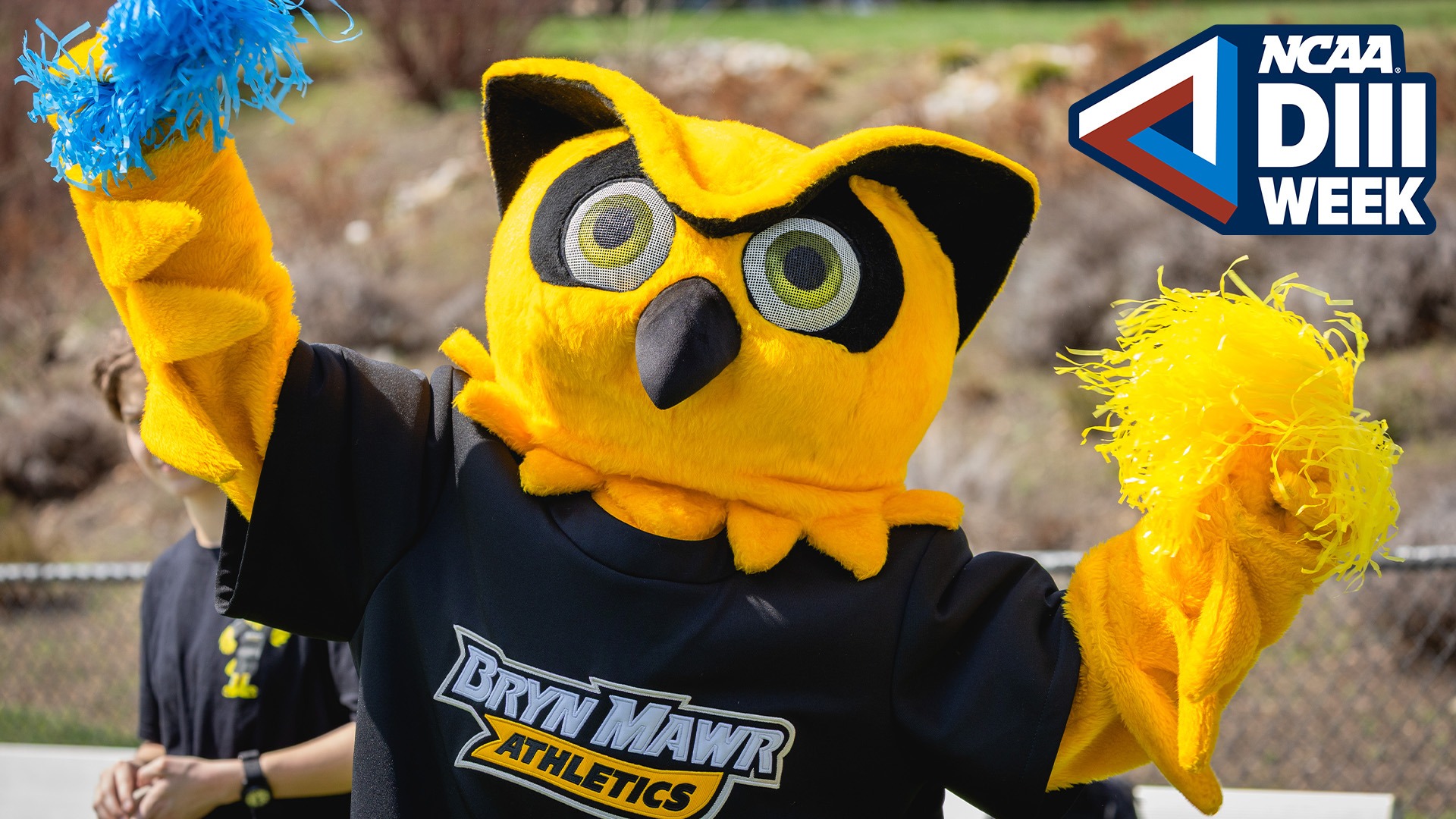 Olly pom poms by Brianna